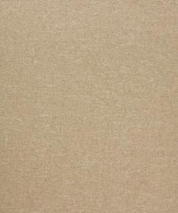 Independent 22304 T11652 by Barrow Designer Fabric