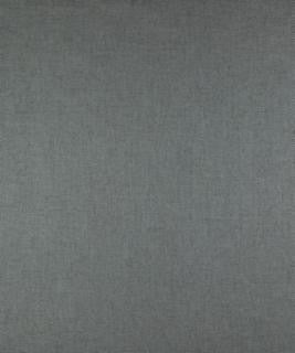 Acacia Danube M9175 by Barrow Industries Designer Fabric Casual Living/14C02 100% POLYESTER FILAMENT NON-TEXTURED Asia 42,000 DOUBLE RUBS Horizontal: N/A and Vertical: N/A 58" - Swanky Fabrics -