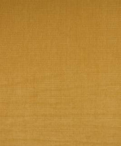 Derek Golden M7889 by Barrow Designer Fabric