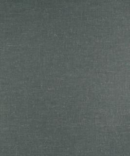 Endorse Graphite M9430 by Barrow Industries Designer Fabric Textures/Solids/15C05 86% POLYESTER (S)
14% LINEN Asia 75,000 DOUBLE RUBS Horizontal: - and Vertical: - 59" - Swanky Fabrics -