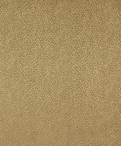 Nassau 11012 M10285 by Barrow Designer Fabric