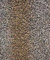 Senegal 21315 M10904 by Barrow Industries Designer Fabric