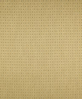 Diderot Platinum M6107 by Barrow Designer Fabric 2769 41% POLYESTER 31% ACRYLIC 28% RAYON CHINA 15,000 DOUBLE RUBS </p><p>Repeat: Horizontal: 1" and Vertical: 0-3/4" 54" Minimum - Swanky Fabrics -