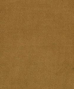 Sean Camel M7926 by Barrow Industries Designer Fabric Traditional/2813 80% POLYESTER
20% NYLON Asia 24,000 DOUBLE RUBS Horizontal: N/A and Vertical: N/A 59" - Swanky Fabrics -