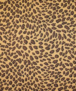 Meow Safari M8811 by Barrow Designer Fabric