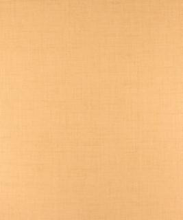 Lanyard Maize M9437 by Barrow Industries Designer Fabric Transitional/15CL08 100% POLYESTER FILAMENT-TEXTURED Asia 50,000 DOUBLE RUBS Horizontal: N/A and Vertical: N/A 58" - Swanky Fabrics -