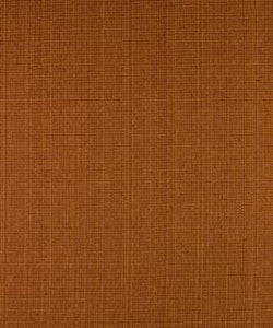 Runaway Pumpkin M9497 by Barrow Designer Fabric