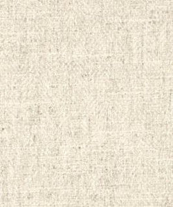 Term 71001 M10316 by Barrow Industries Designer Fabric