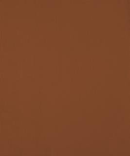 Ciabatta 11506 M10436 by Barrow Industries Designer Fabric Performance Fabrics/18C09 100% POLYESTER KNIT PILE FABRIC Asia 30,000 DOUBLE RUBS Horizontal: - and Vertical: - 57" - Swanky Fabrics -