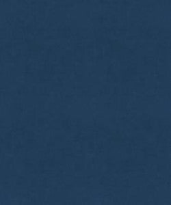 Counterpoint 31909 M9989 by Barrow Designer Fabric