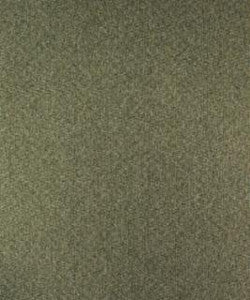Cervet 12114 M10070 by Barrow Designer Fabric