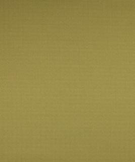 Hampden Sprout M8654 by Barrow Designer Fabric 1113 52% POLYESTER (S)
48% POLYESTER (F) CHINA 50,000 DOUBLE RUBS </p><p>Repeat: Horizontal: N/A and Vertical: N/A 54" Minimum - Swanky Fabrics -