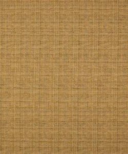 Friendly Wheat M8508 by Barrow Designer Fabric
