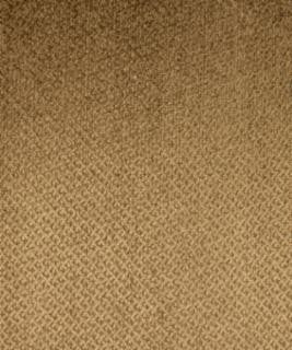 Munro Camel M6795 by Barrow Designer Fabric 2769 70% RAYON
19% POLYESTER
11% COTTON CHINA 39,000 DOUBLE RUBS </p><p>Repeat: Horizontal: N/A and Vertical: N/A 54" Minimum - Swanky Fabrics -