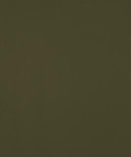 Ciabatta 12105 M10436 by Barrow Industries Designer Fabric Performance Fabrics/18C09 100% POLYESTER KNIT PILE FABRIC Asia 30,000 DOUBLE RUBS Horizontal: - and Vertical: - 57" - Swanky Fabrics -