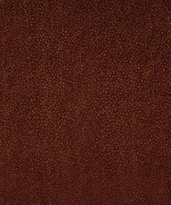 Parma 11617 M10285 by Barrow Designer Fabric