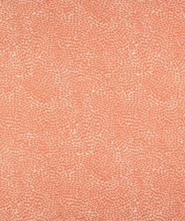 Veneto 11513 M10279 by Barrow Designer Fabric 1869 65% COTTON
35% POLYESTER CHINA 30,000 DOUBLE RUBS </p><p>Repeat: Horizontal: 14 1/8" and Vertical: 10 5/8" 54" Minimum - Swanky Fabrics -