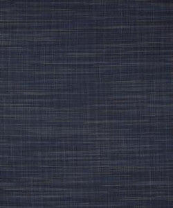 Chaparral 11908 M9603 by Barrow Designer Fabric