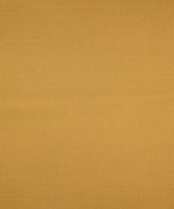 Terrapin Creek Papaya M8926 by Barrow Designer Fabric