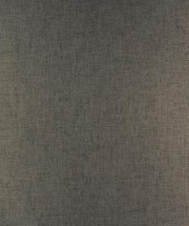 Sternpost Graphite M9701 by Barrow Industries Designer Fabric Transitional/15CL07 100% POLYESTER FILAMENT-TEXTURED Asia 30,000 DOUBLE RUBS Horizontal: - and Vertical: - 59" - Swanky Fabrics -