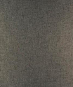 Sternpost Graphite M9701 by Barrow Designer Fabric