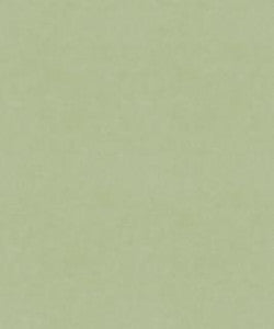 Counterpoint 12101 M9989 by Barrow Designer Fabric
