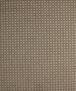 Luna 11111 M10849 by Barrow Designer Fabric