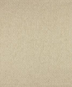 Pupil 11111 M10310 by Barrow Designer Fabric
