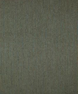 United Danube M9488 by Barrow Designer Fabric 14C06 51% POLYESTER
49% RAYON CHINA 12,000 DOUBLE RUBS </p><p>Repeat: Horizontal: N/A and Vertical: N/A 54" Minimum - Swanky Fabrics -