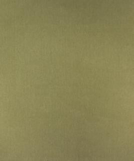 Exhale 12103 M10078 by Barrow Industries Designer Fabric Textures/Solids/17C06 77% POLYESTER (S)
23% POLYESTER (F) Asia 30,000 DOUBLE RUBS Horizontal: - and Vertical: - 57" - Swanky Fabrics -