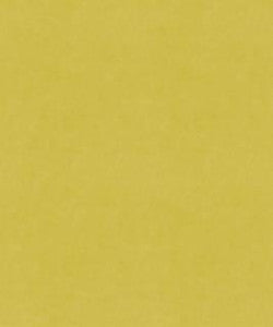 Counterpoint 11205 M9989 by Barrow Designer Fabric