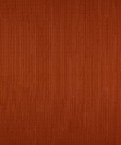 Terrapin Creek Cinnamon M8926 by Barrow Designer Fabric
