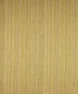 Carova Sprout M8904 by Barrow Designer Fabric 11C05 69% RAYON (S) 31% POLYESTER (F) CHINA 12,000 DOUBLE RUBS </p><p>Repeat: Horizontal: N/A and Vertical: 8" 54" Minimum - Swanky Fabrics -
