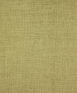 Core Banks Sprout M8776 by Barrow Industries Designer Fabric Textures/Solids/11C05 100% POLYESTER Asia 12,000 DOUBLE RUBS Horizontal: N/A and Vertical: N/A 58" - Swanky Fabrics -