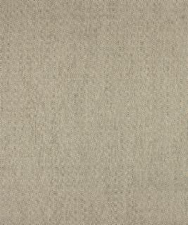 Pupil 22312 M10310 by Barrow Industries Designer Fabric Textures/Solids/18C03 79% POLYESTER (S)
21% POLYESTER (F) Asia 50,000 DOUBLE RUBS Horizontal: 3/4" and Vertical: 3/4" 58" - Swanky Fabrics -