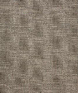 High Speed 21113 M10613 by Barrow Designer Fabric