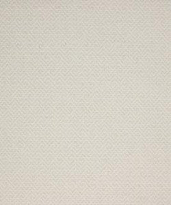 Instinct 11011 M10523R by Barrow Designer Fabric