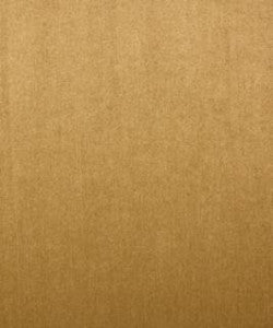 Culkin Wheat M7574 by Barrow Designer Fabric