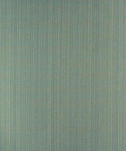 Speculate Aqua M9495 by Barrow Designer Fabric