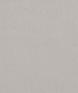 Santiago 22302 M10751 by Barrow Industries Designer Fabric 22C03 100% POLYESTER KNIT PILE FABRIC CHINA </p><p>Repeat: Horizontal: and Vertical: 54" Minimum - Swanky Fabrics -