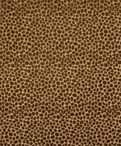 Buckeye 12215 M9641 by Barrow Designer Fabric