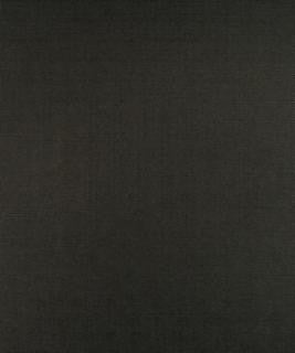 Advocate Graphite M9134 by Barrow Industries Designer Fabric Textures/Solids/13C05 52% POLYESTER FILAMENT-TEXTURED
48% POLYESTER FILAMENT NON-TEXTURED Asia 30,000 DOUBLE RUBS Horizontal: N/A and Vertical: N/A 58" - Swanky Fabrics -