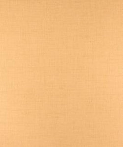 Tenacious Maize M9437 by Barrow Designer Fabric