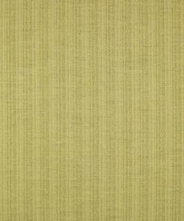 Top Of The Heap Bamboo M9273 by Barrow Industries Designer Fabric Performance Fabrics/12CL06 100% POLYESTER FILAMENT NON-TEXTURED Asia 30,000 DOUBLE RUBS Horizontal: - and Vertical: - 58" - Swanky Fabrics -