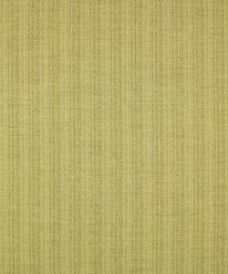 Top Of The Heap Bamboo M9273 by Barrow Designer Fabric