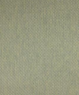 Pavia 12114 M10310 by Barrow Designer Fabric 1869 79% POLYESTER (S)
21% POLYESTER (F) CHINA 50,000 DOUBLE RUBS </p><p>Repeat: Horizontal: 3/4" and Vertical: 3/4" 54" Minimum - Swanky Fabrics -