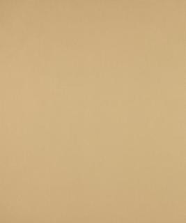 No Worries Platinum M9166 by Barrow Designer Fabric 12CL06 67% POLYESTER (F) 33% POLYESTER (S) CHINA 50,000 DOUBLE RUBS </p><p>Repeat: Horizontal: N/A and Vertical: N/A 54" Minimum - Swanky Fabrics -