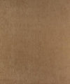 Fierce Pumice M9583 by Barrow Designer Fabric
