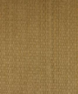 Embody Dune M8118 by Barrow Designer Fabric
