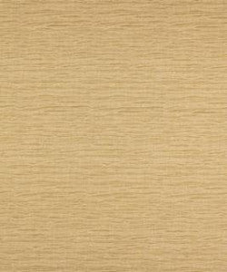 Jibe Birch M8951 by Barrow Designer Fabric